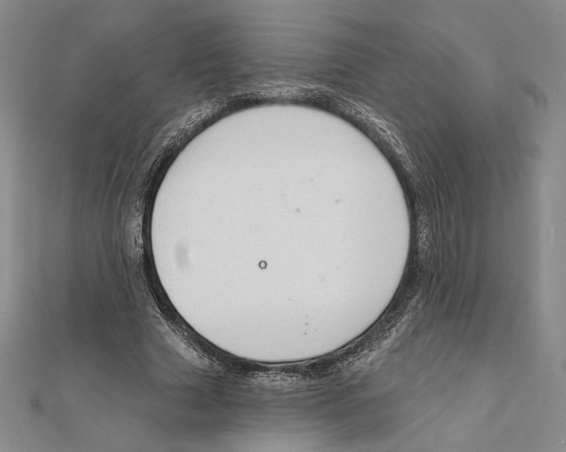 X0000112020633200908311155