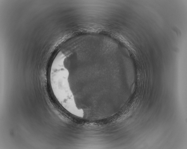 X0000112020634200908311155