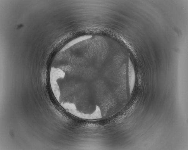 X0000112020637200908311155