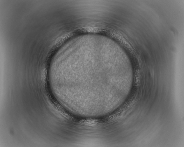 X0000112020639200908311155