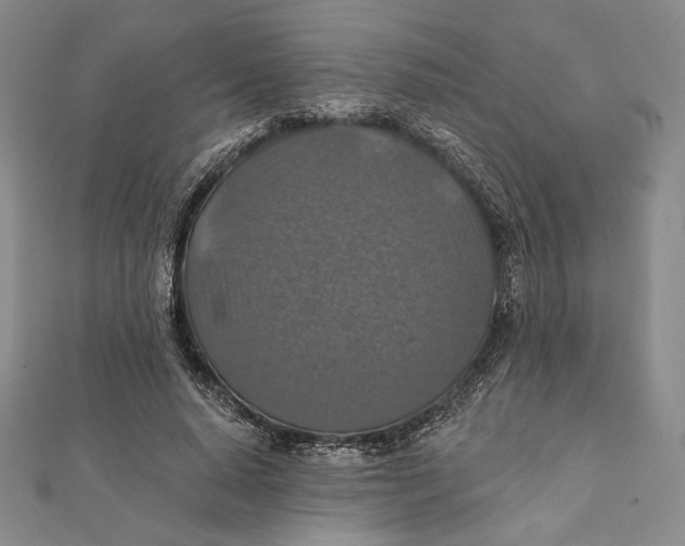 X0000112020640200908311155