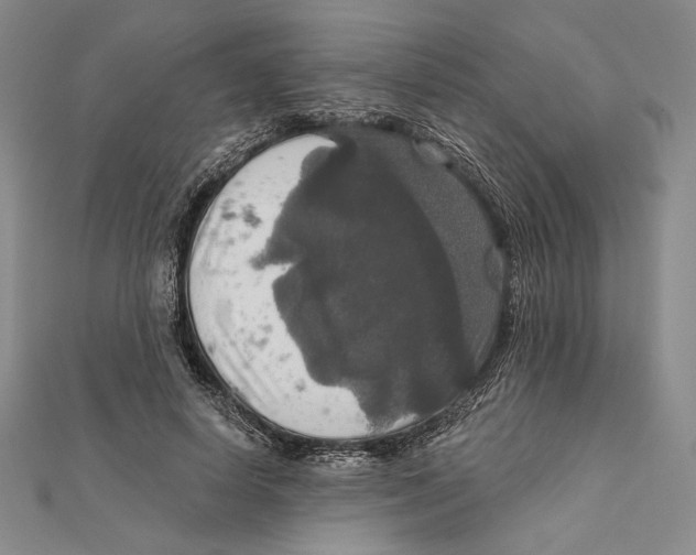 X0000112020642200908311155