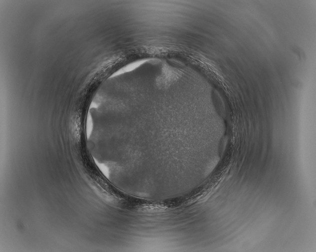 X0000112020644200908311155