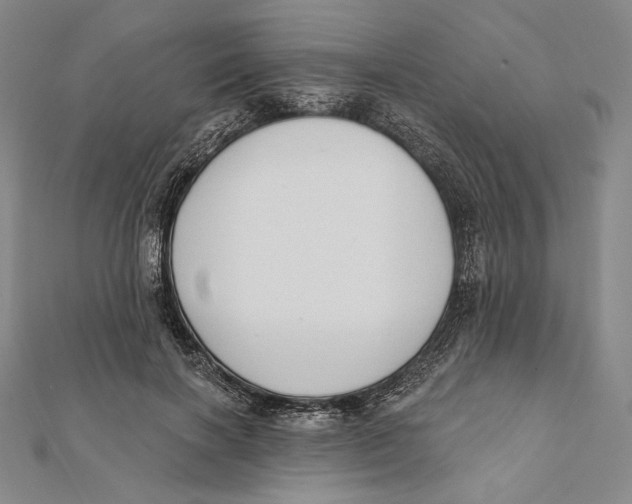 X0000112020646200908311155