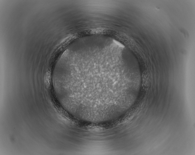 X0000112020648200908311155