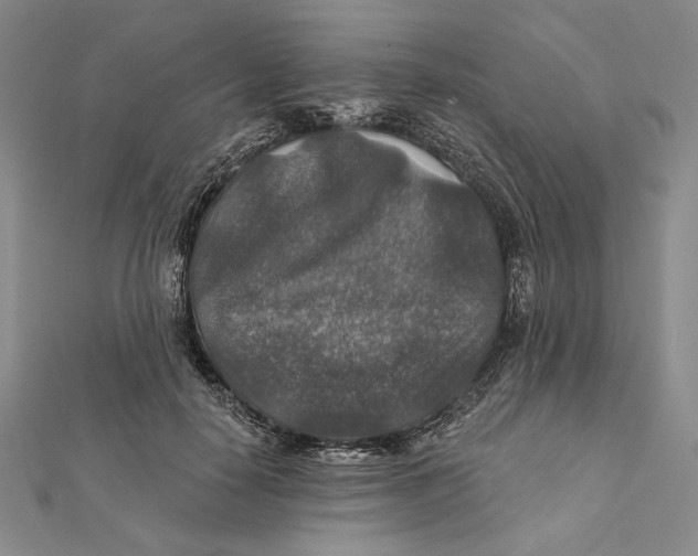 X0000112020650200908311155