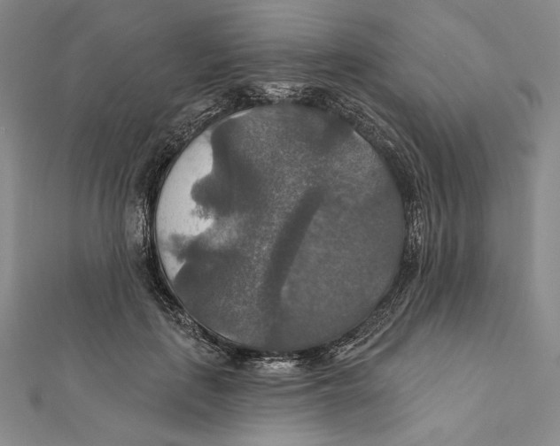 X0000112020651200908311155