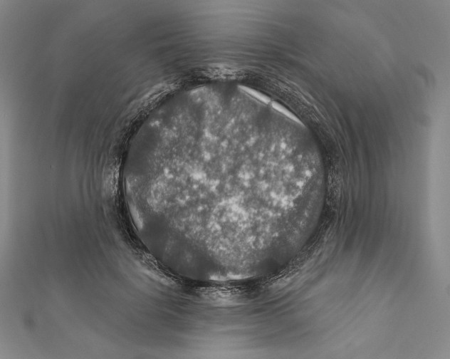 X0000112020652200908311155