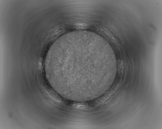 X0000112020655200908311155