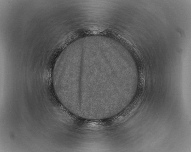 X0000112020657200908311155