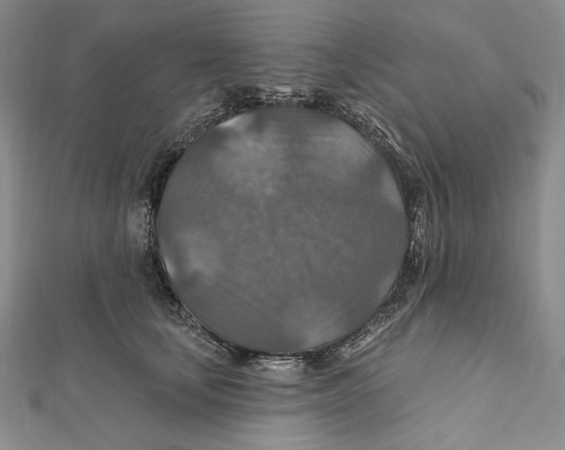 X0000112020659200908311155