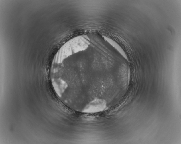 X0000112020661200908311155