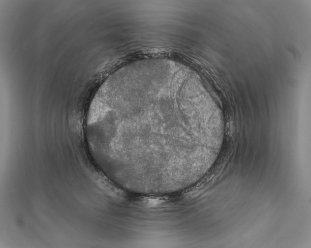 X0000112020662200908311155