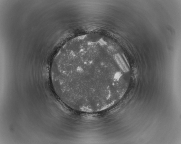 X0000112020664200908311155