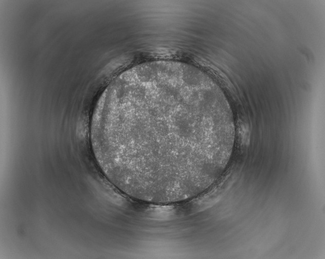 X0000112020665200908311155