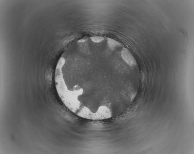 X0000112020668200908311155