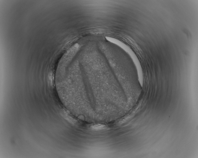 X0000112020669200908311155