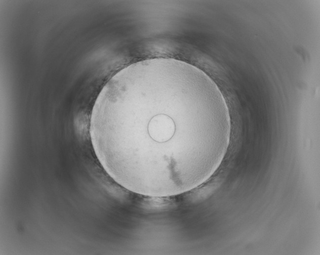 X0000112020672200908311155