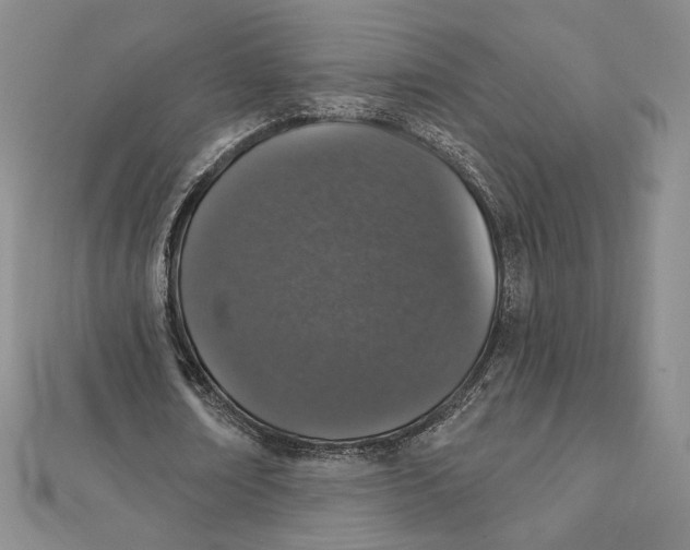 X0000112020674200908311155