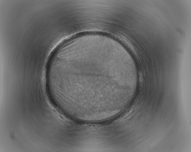 X0000112020676200908311155