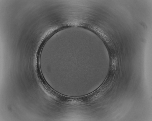 X0000112020678200908311155