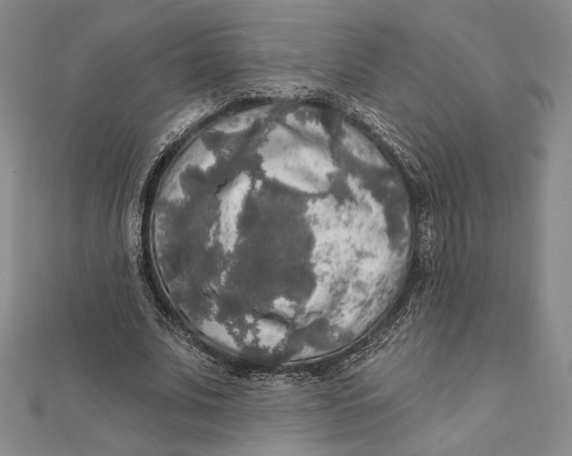 X0000112020679200908311155