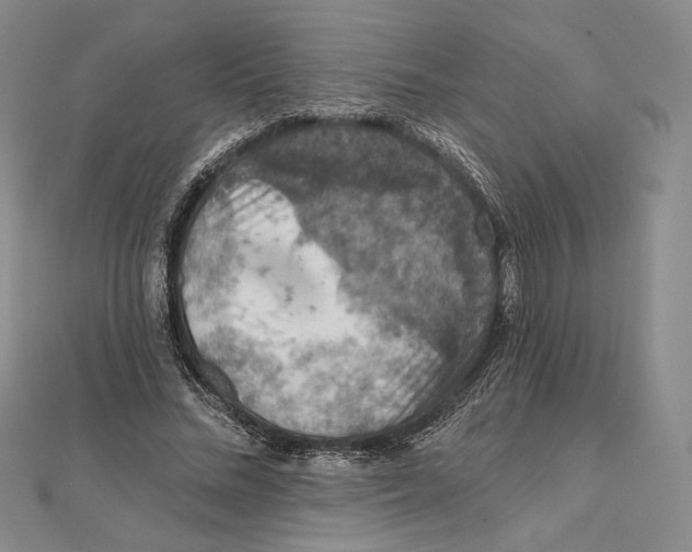 X0000112020684200908311155