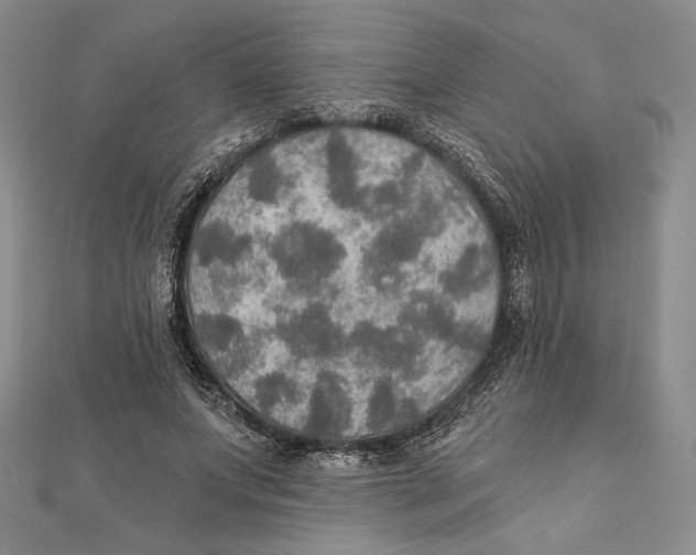 X0000112020687200908311155