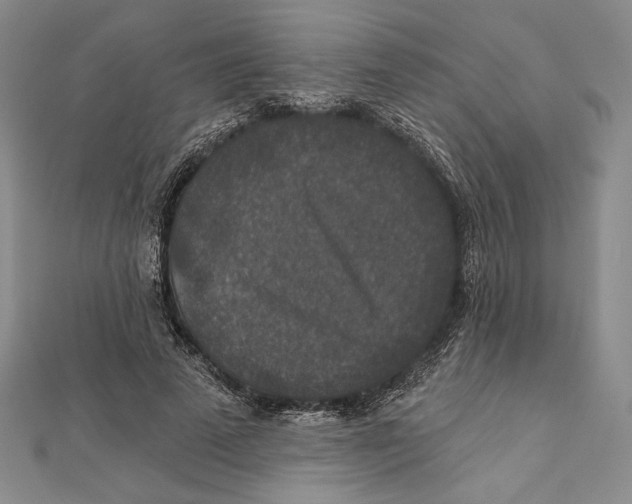 X0000112020689200908311155