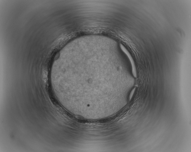 X0000112020693200908311155