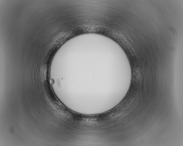 X0000112020694200908311155