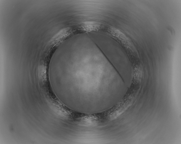 X0000112020696200908311155