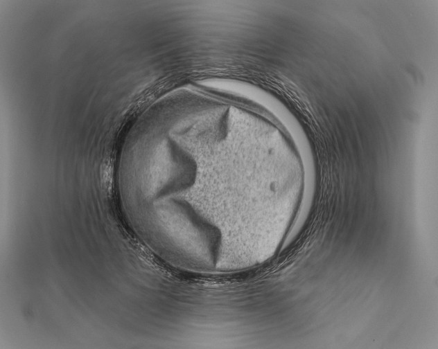 X0000112020697200908311155