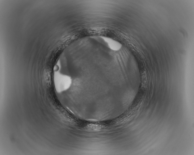 X0000112020699200908311155