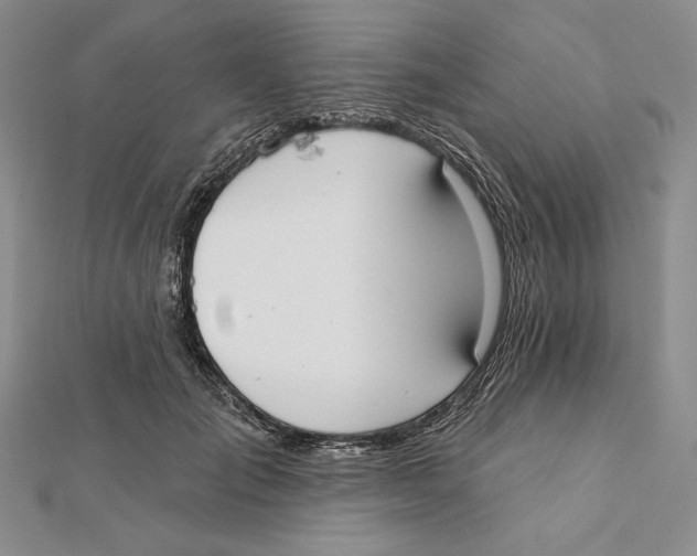 X0000112020701200908311155