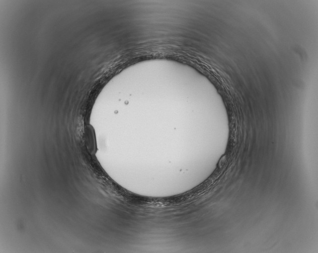 X0000112020704200908311154