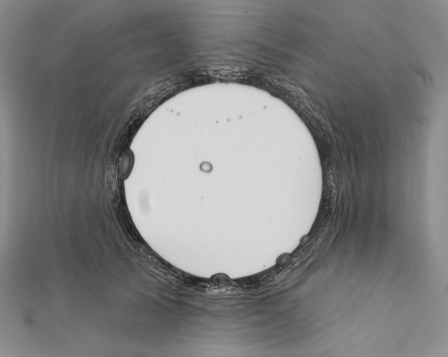 X0000112020705200908311154