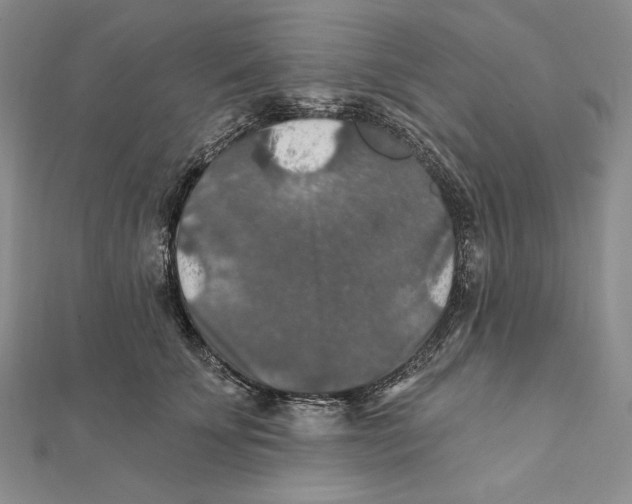 X0000112020707200908311154