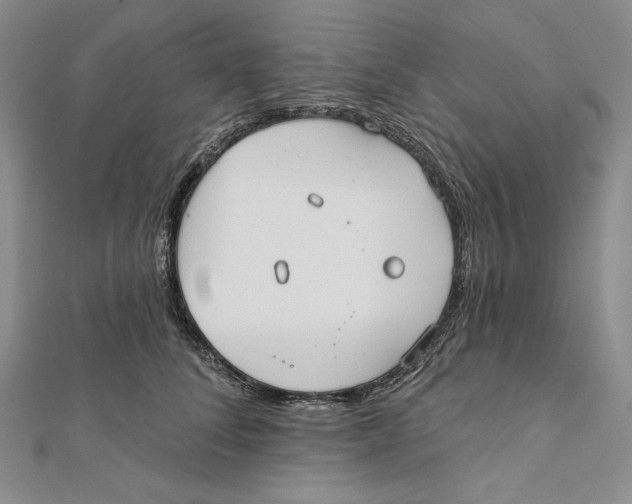 X0000112020708200908311154