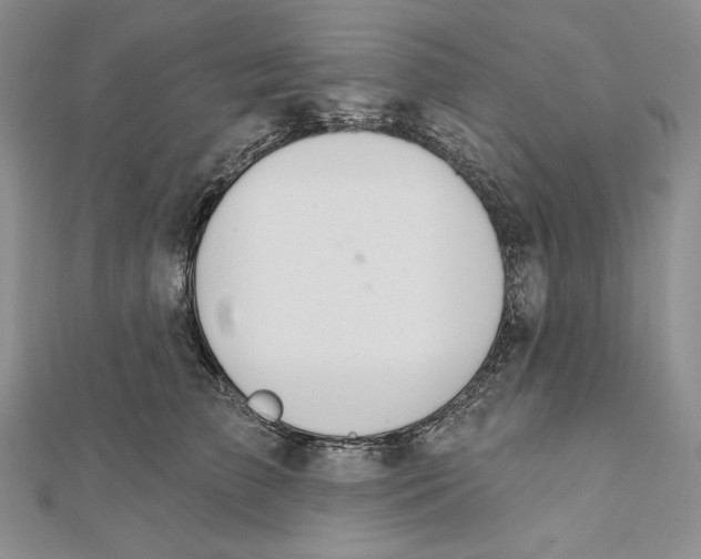 X0000112020709200908311154