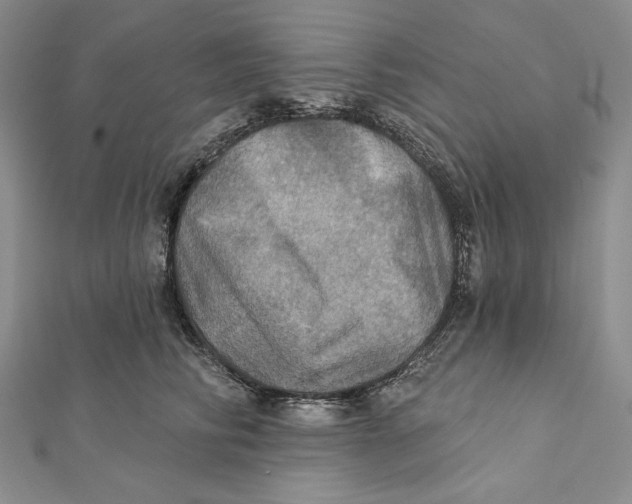 X0000112020710200908311154