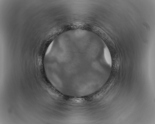 X0000112020711200908311154