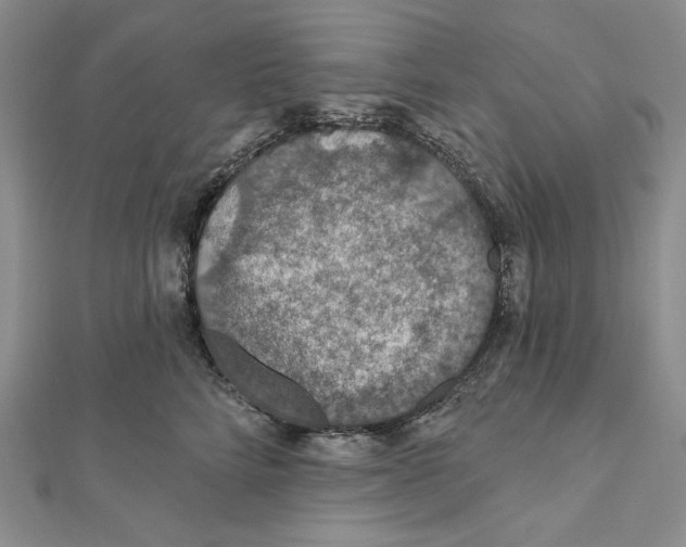 X0000112020712200908311154