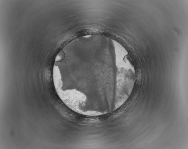 X0000112020715200908311154