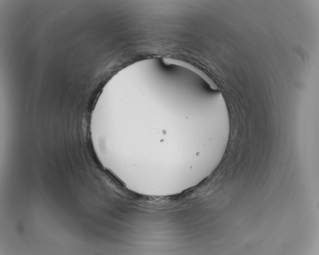 X0000112020720200908311154