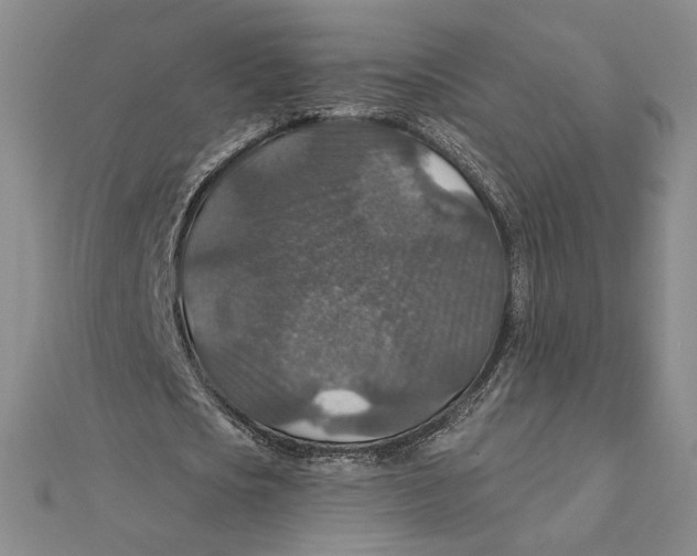 X0000112020721200908311154