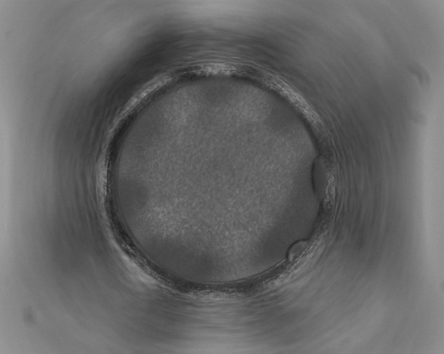 X0000112020722200908311154