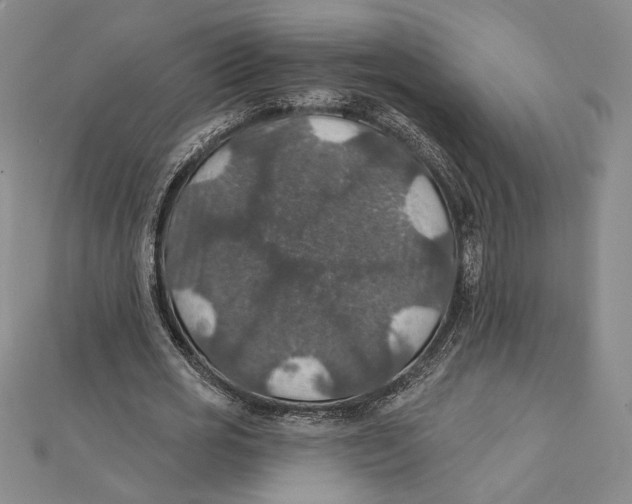 X0000112020725200908311154