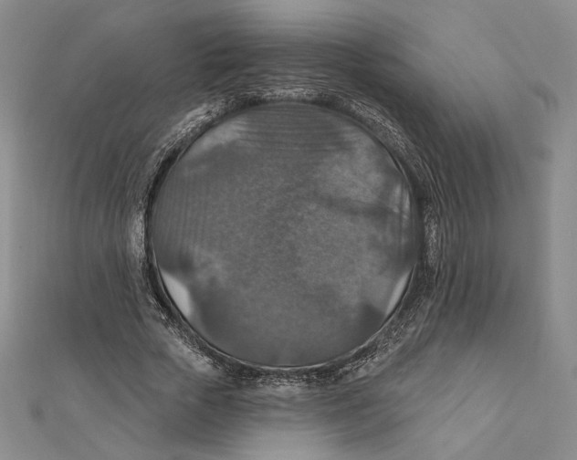 X0000112020729200908311154