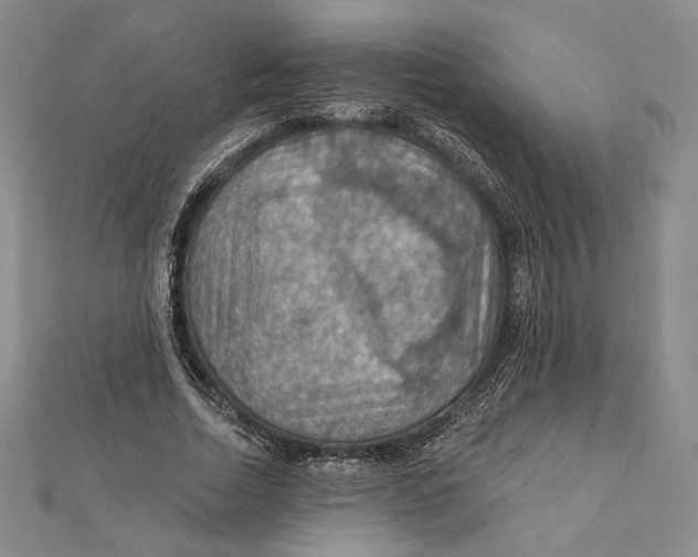 X0000112020730200908311154